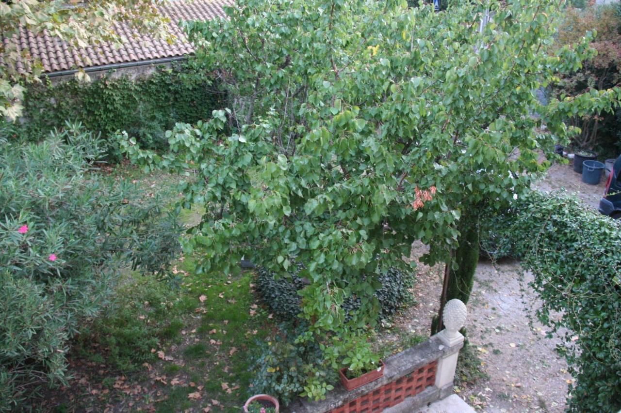 Le Mas Des Dames Appartement Avignon Exteriér fotografie